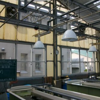 但馬栽培漁業センター