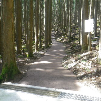 奈良県天川村山道